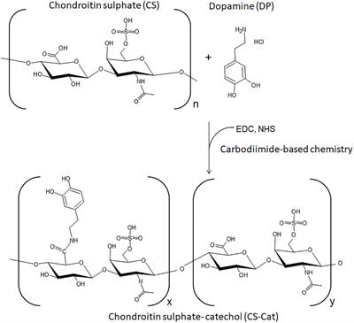 pH-Triggered Adhesiveness and Cohesiveness of Chondroitin Sulfate-Catechol Biopolymer for Biomedical Applications